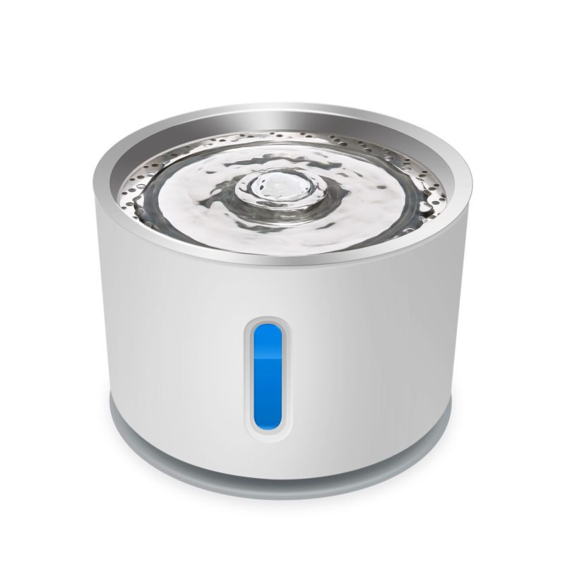 IT102-animallovers-4-1.jpg IT102 animallovers 4 1