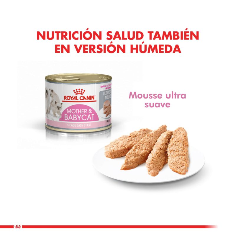 KITTEN DRY 07 min scaled 2