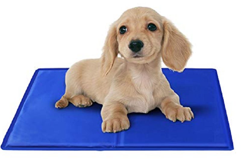 Manta-refrigerante-1.jpg Manta refrigerante 1