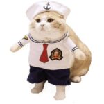 Marinero gato 1