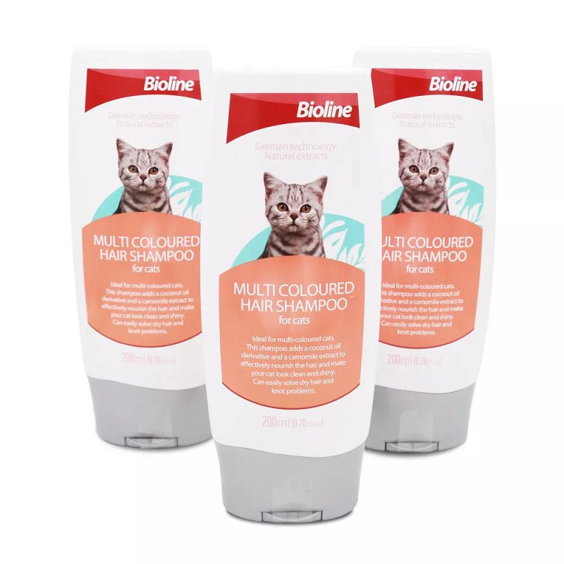 MultiColoured-3-1.jpg MultiColoured 3 1