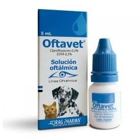 Oftavet 1 1