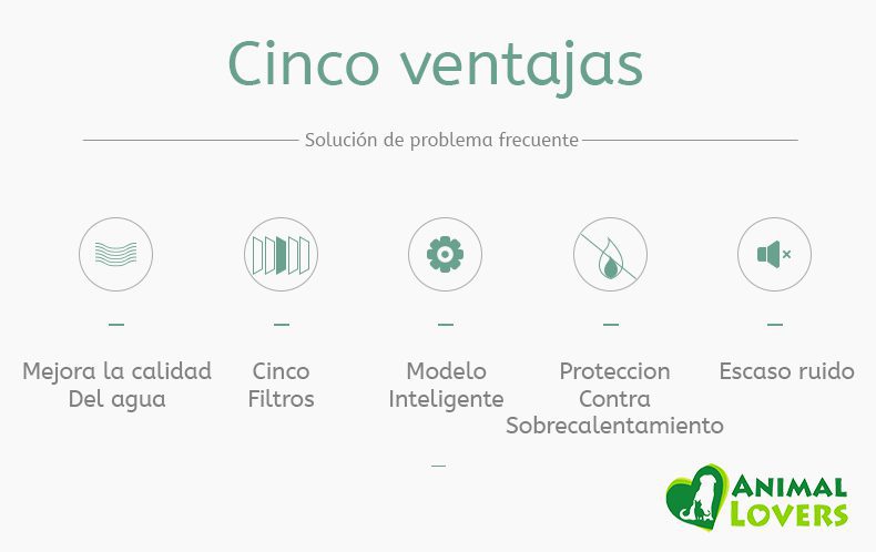 P18-animallover-3-1-1.jpg P18 animallover 3 1 1