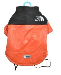 Parka dog face naranja 1