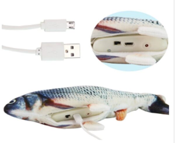 Pescado Interactivo Funcionalidad 1