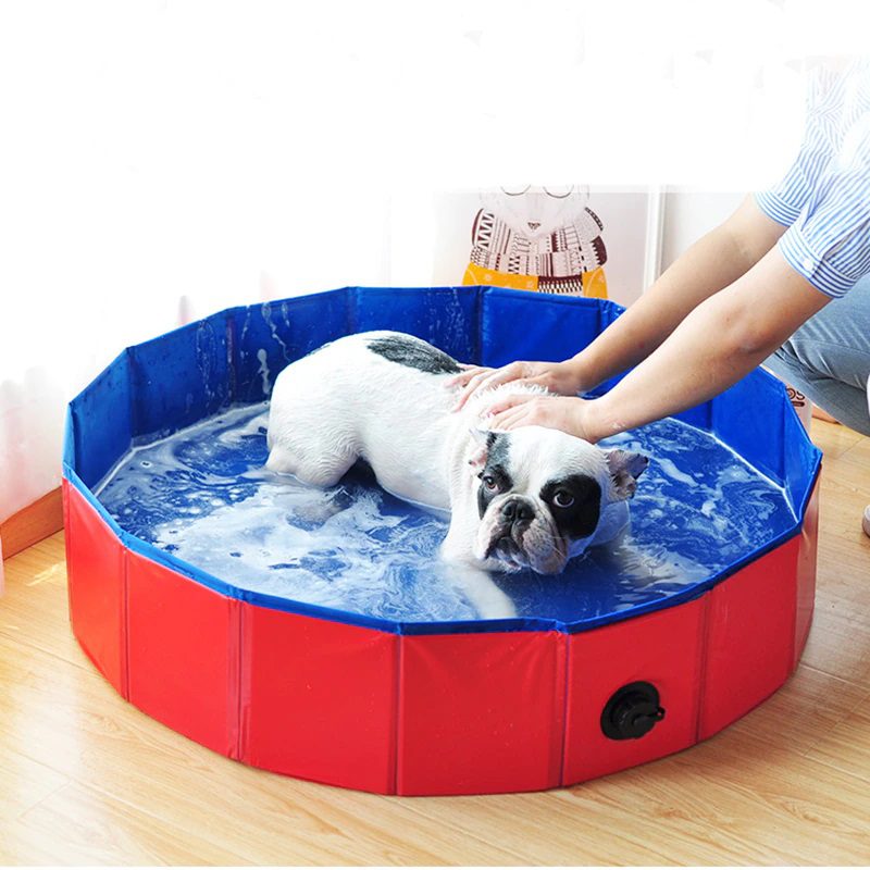 Piscina para Perros Portable Plegable Piscina para Perros Portable Plegable un poscina para bañar o refrescar a tu mascota