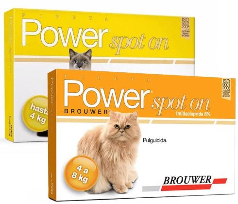 Power spot on gatos 1