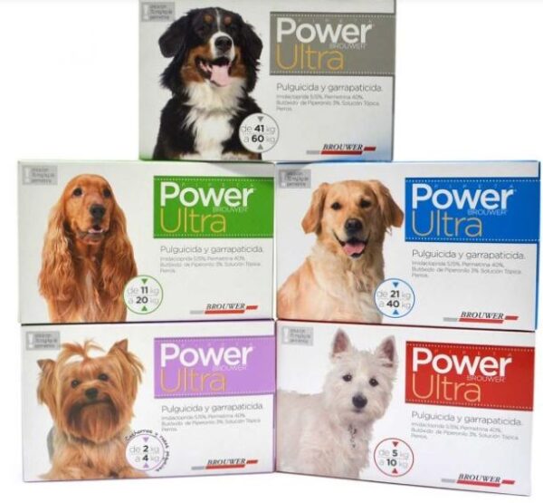 Power ultra perro 1