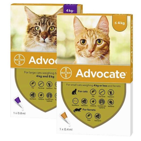 advocate para gatos 1