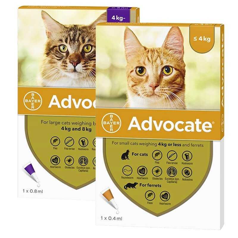 advocate-para-gatos-1.jpg advocate para gatos 1