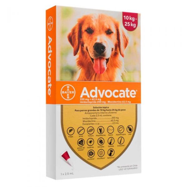 advocate 10 25 perros 1