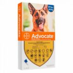 advocate 25 40 perros 1