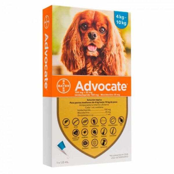 advocate 4 10 perros 1