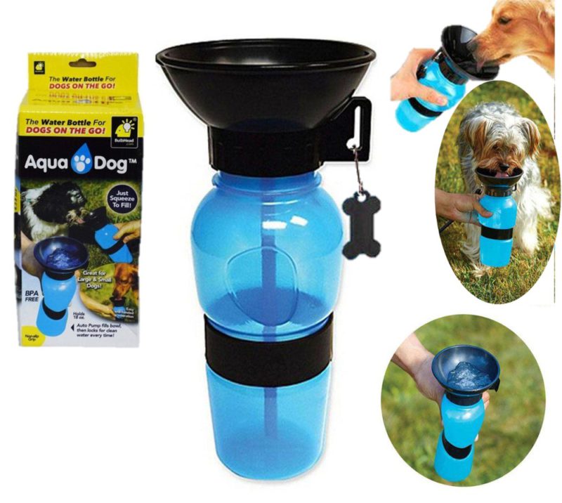 aquadog-1-1.jpg aquadog 1 1