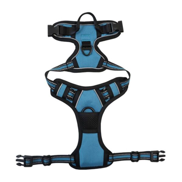 arenes pro1 1