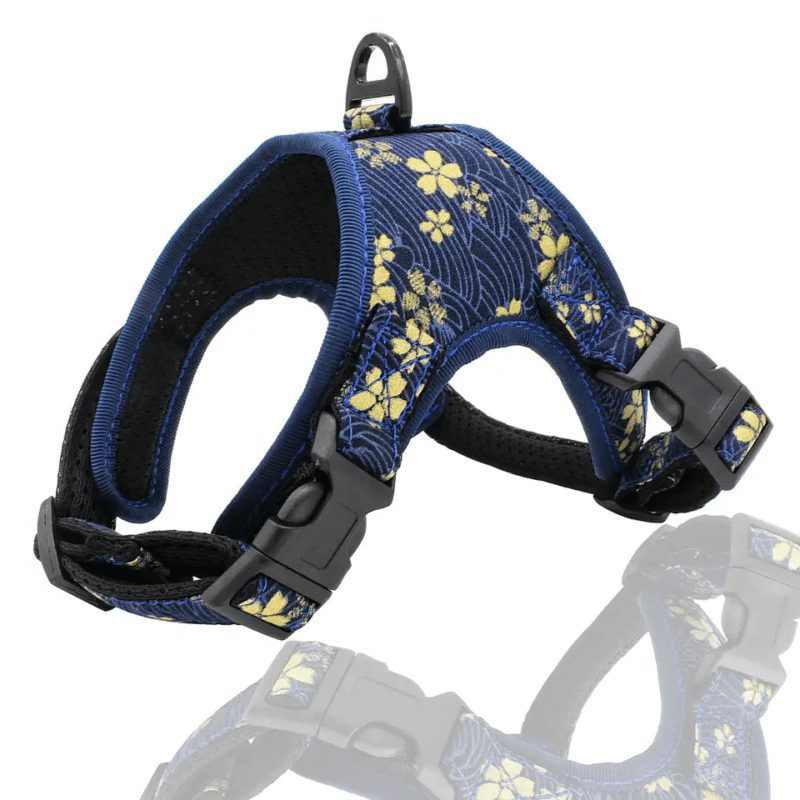 arnes-dorado-2-1.jpg arnes dorado 2 1