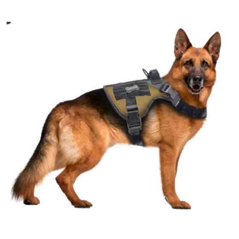 arnes-tactico-cafe-2-copia-2-1-1.jpg arnes tactico cafe 2 copia 2 1 1