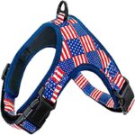 arnes usa
