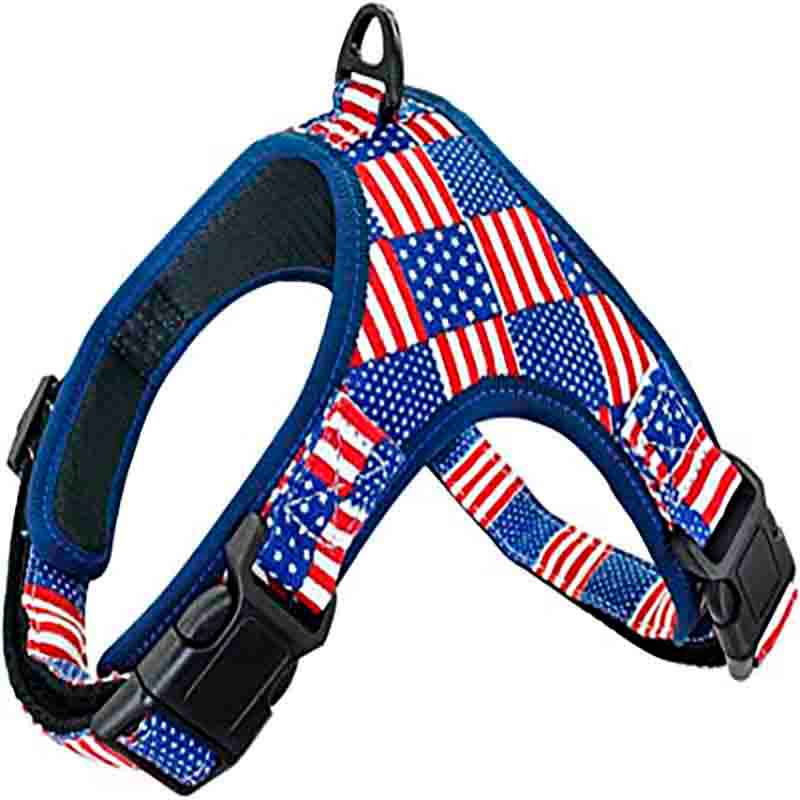arnes-usa arnes usa