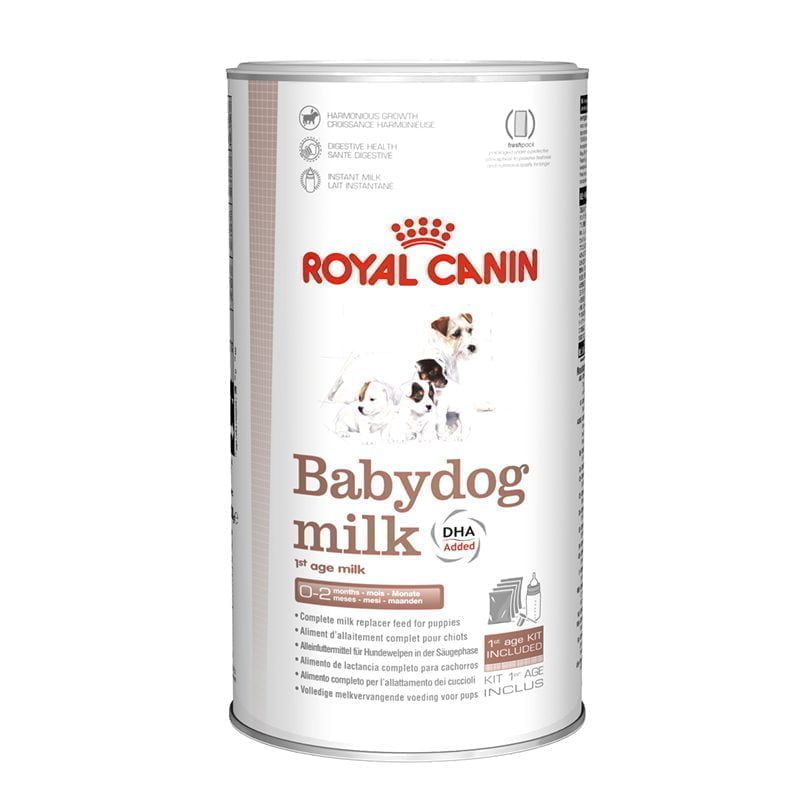 babydog-milk-1.jpg babydog milk 1
