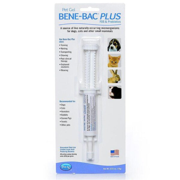 bene bac plus 1