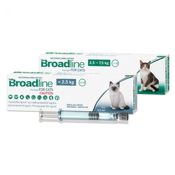 bradline gatos 2 1