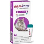 bravecto 12.5 1