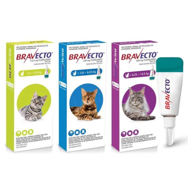 bravecto pipeta para gatos 1