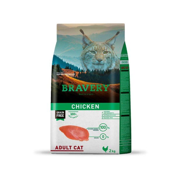 bravery chicken adult cat 1