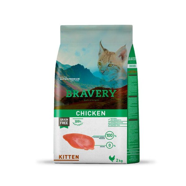 bravery chicken kitten 1 1