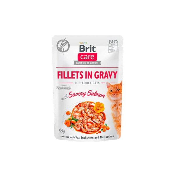 brit care cat fillets in gravy with savory salmon 2