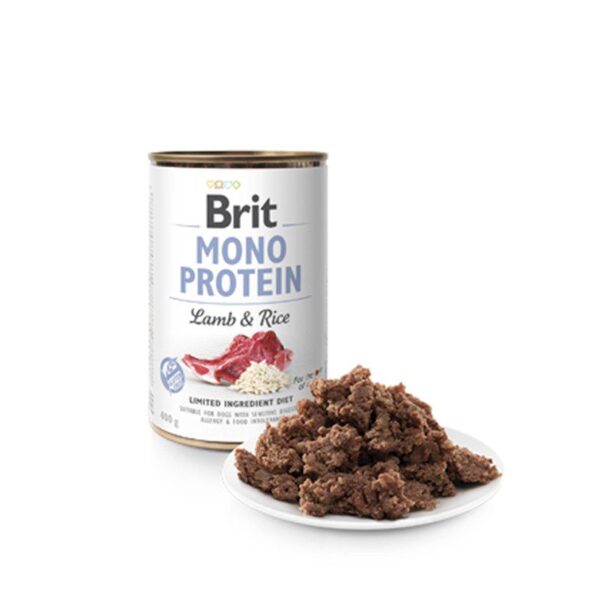 brit care mono protein lata cordero y arroz 1