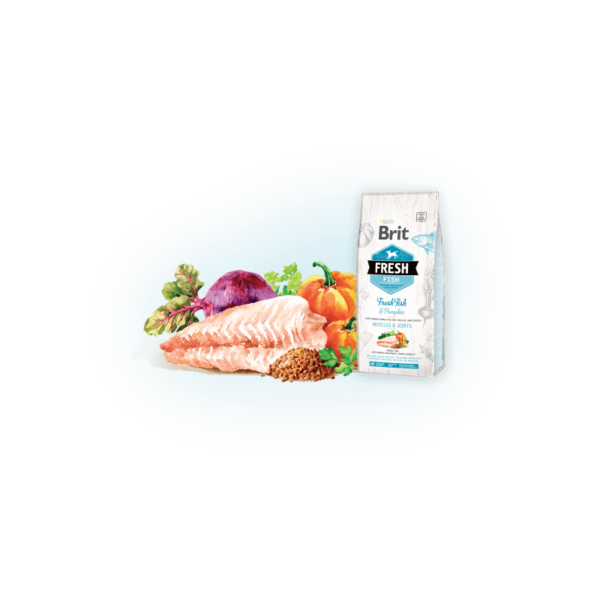 brit fresh fish with pumpkin adult large muscles joints 2 1