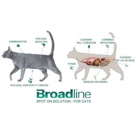 broadline antiparasitario interno y externo para gatos de 25 75 kg boehringer ingelheim 1