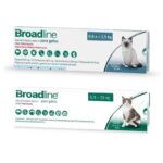 broadline gatos 1 1