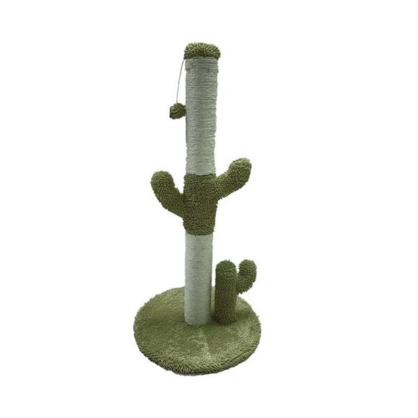 cactus arbol verde 1