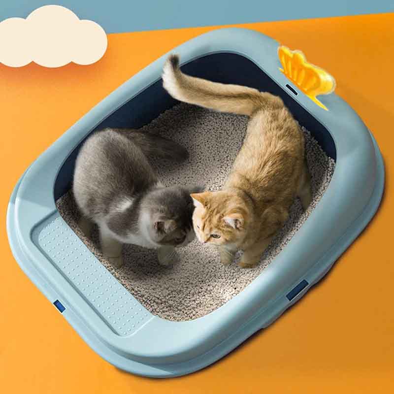 caja-arena-corona-celeste-3-1.jpg caja arena corona celeste 3 1