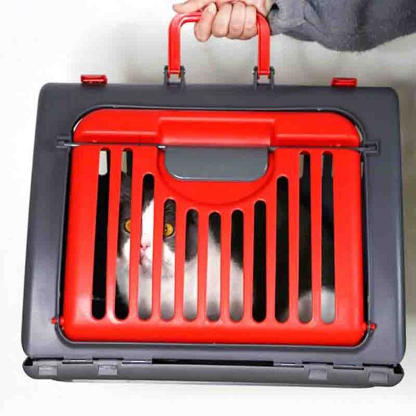 caja transportadora plegable roja 2 1