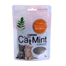 catnip mint 2