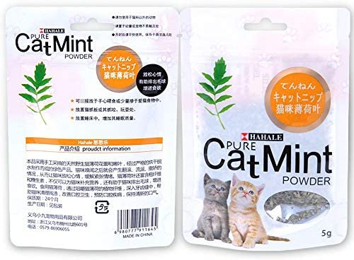 catnip mint 5