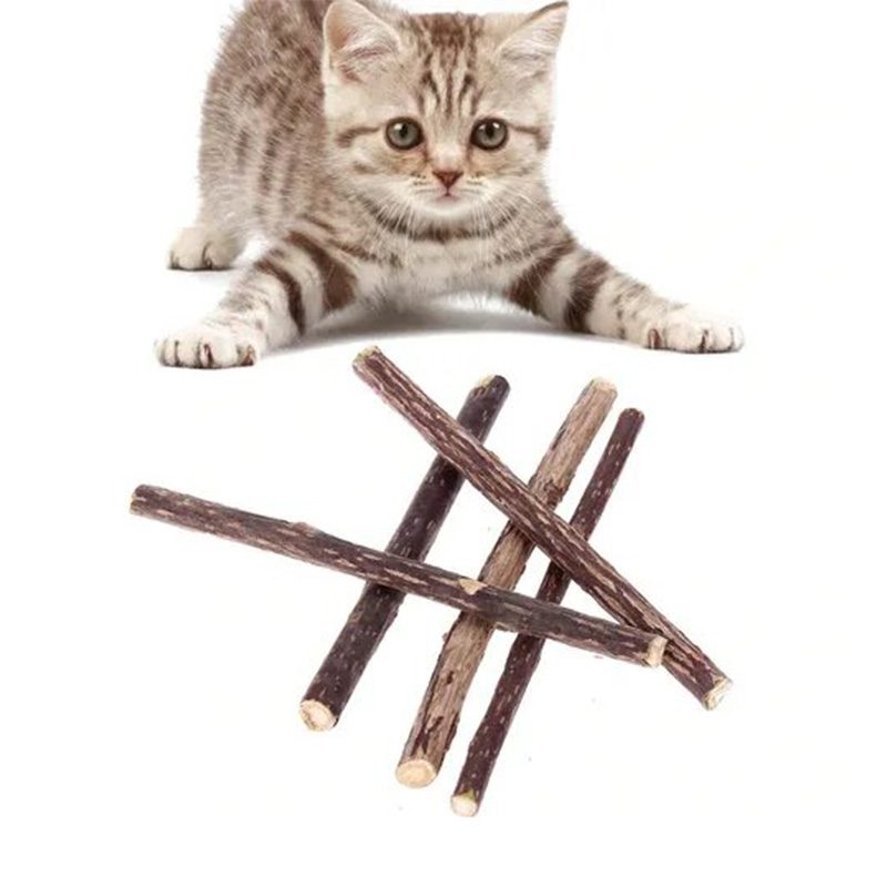 catnip-x51-1.jpg catnip x51 1