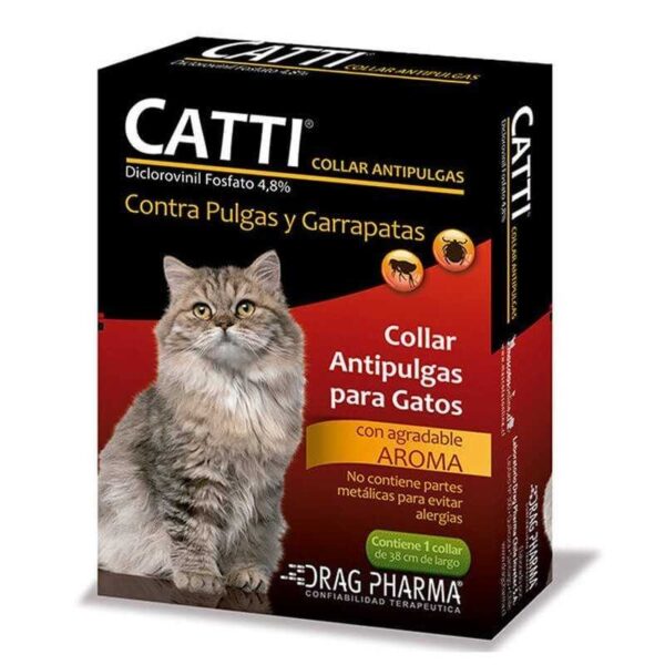 catti collar 1