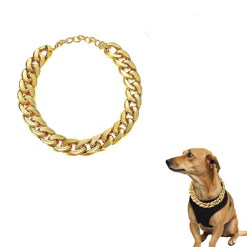 collar-mascota-dorado-8-1.jpg collar mascota dorado 8 1