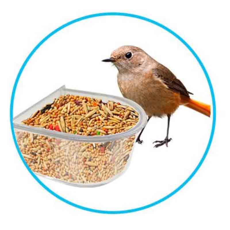 comedero acrilico 1 1