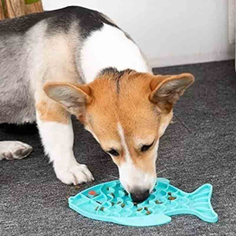 comedero-golosina-celeste-2-1.jpg comedero golosina celeste 2 1