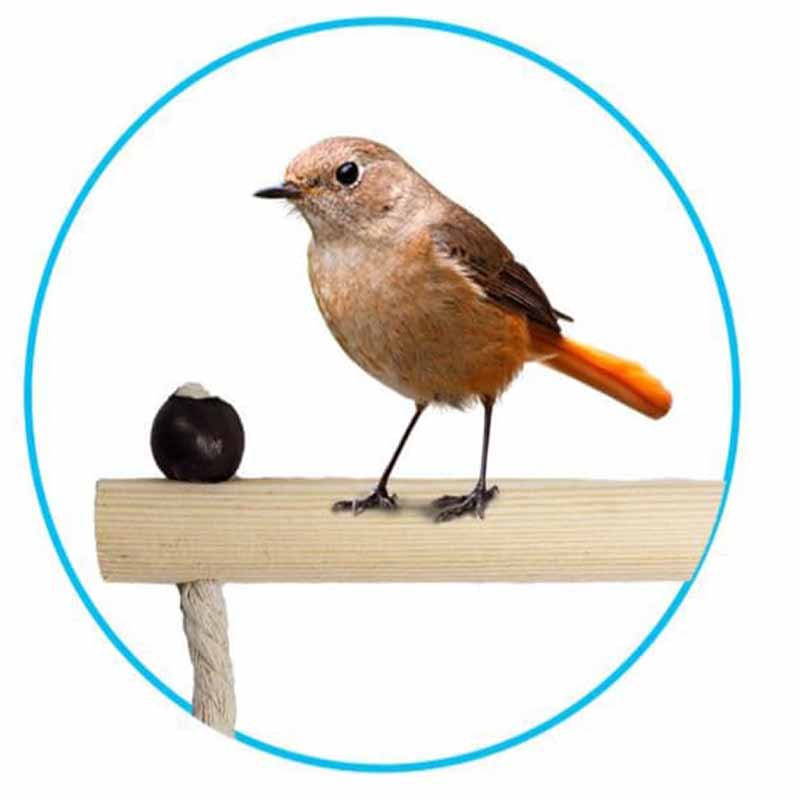 descanzo-para-jaulas-5-1.jpg descanzo para jaulas 5 1