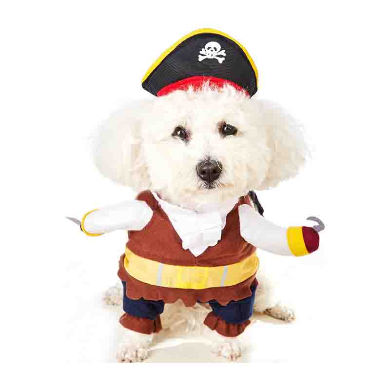 Trajes perro sales