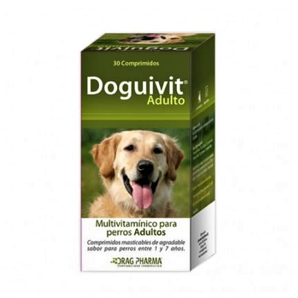 doguivit adulto 1