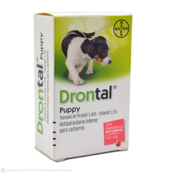 drontalpuppy1 1