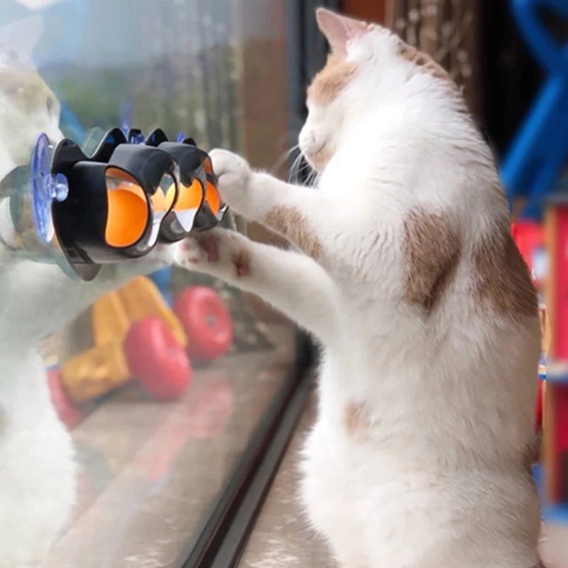 gato-3-track-1.jpg gato 3 track 1